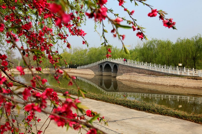 森林植物園