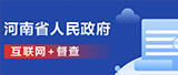 互聯網督查
