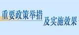 重要政策舉措及實施效果